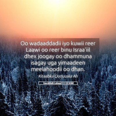 Picture 05 - Taariikhdii Labaad 11:13 SOM - Oo wadaaddadii iyo kuwii reer Laawi oo reer binu - Bible Verse Picture