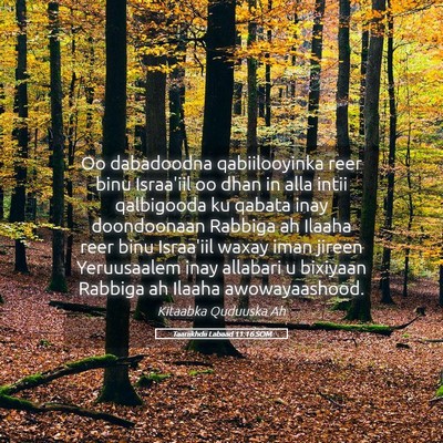 Picture 05 - Taariikhdii Labaad 11:16 SOM - Oo dabadoodna qabiilooyinka reer binu Israa'iil - Bible Verse Picture