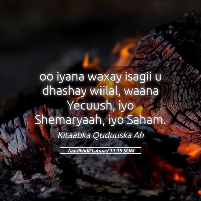 Picture 05 - Taariikhdii Labaad 11:19 SOM - oo iyana waxay isagii u dhashay wiilal, waana - Bible Verse Picture