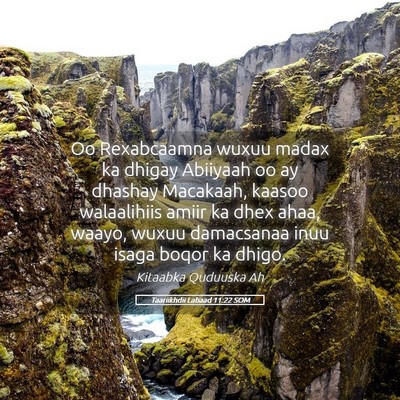 Picture 05 - Taariikhdii Labaad 11:22 SOM - Oo Rexabcaamna wuxuu madax ka dhigay Abiiyaah oo - Bible Verse Picture