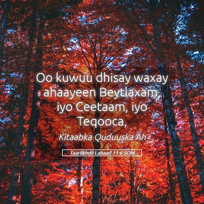 Picture 05 - Taariikhdii Labaad 11:6 SOM - Oo kuwuu dhisay waxay ahaayeen Beytlaxam, iyo - Bible Verse Picture