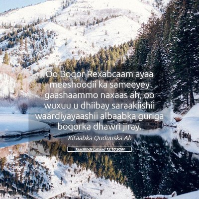 Picture 05 - Taariikhdii Labaad 12:10 SOM - Oo Boqor Rexabcaam ayaa meeshoodii ka sameeyey - Bible Verse Picture