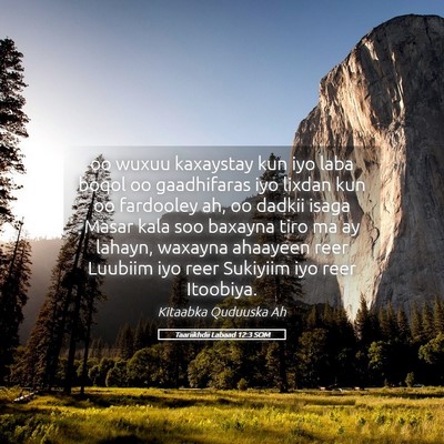 Picture 05 - Taariikhdii Labaad 12:3 SOM - oo wuxuu kaxaystay kun iyo laba boqol oo - Bible Verse Picture