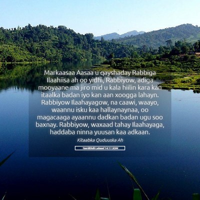 Picture 05 - Taariikhdii Labaad 14:11 SOM - Markaasaa Aasaa u qayshaday Rabbiga Ilaahiisa ah - Bible Verse Picture