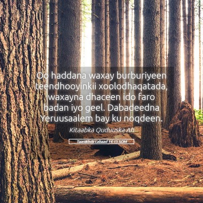 Picture 05 - Taariikhdii Labaad 14:15 SOM - Oo haddana waxay burburiyeen teendhooyinkii - Bible Verse Picture