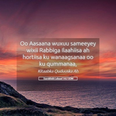 Picture 05 - Taariikhdii Labaad 14:2 SOM - Oo Aasaana wuxuu sameeyey wixii Rabbiga Ilaahiisa - Bible Verse Picture