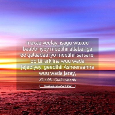 Picture 05 - Taariikhdii Labaad 14:3 SOM - maxaa yeelay, isagu wuxuu baabbi'iyey meelihii - Bible Verse Picture