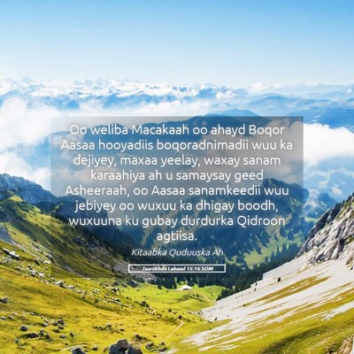 Picture 05 - Taariikhdii Labaad 15:16 SOM - Oo weliba Macakaah oo ahayd Boqor Aasaa hooyadiis - Bible Verse Picture
