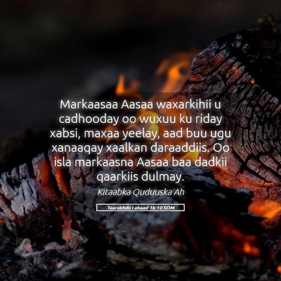 Picture 05 - Taariikhdii Labaad 16:10 SOM - Markaasaa Aasaa waxarkihii u cadhooday oo wuxuu - Bible Verse Picture
