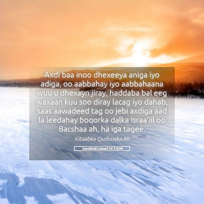 Picture 05 - Taariikhdii Labaad 16:3 SOM - Axdi baa inoo dhexeeya aniga iyo adiga, oo - Bible Verse Picture