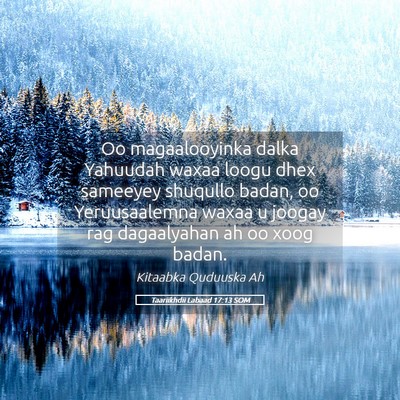 Picture 05 - Taariikhdii Labaad 17:13 SOM - Oo magaalooyinka dalka Yahuudah waxaa loogu dhex - Bible Verse Picture