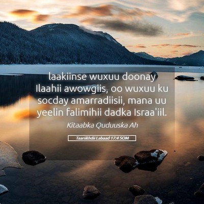 Picture 05 - Taariikhdii Labaad 17:4 SOM - laakiinse wuxuu doonay Ilaahii awowgiis, oo wuxuu - Bible Verse Picture