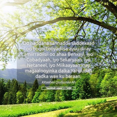 Picture 05 - Taariikhdii Labaad 17:7 SOM - Oo haddana sannaddii saddexaad oo boqortooyadiisa - Bible Verse Picture