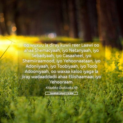Picture 05 - Taariikhdii Labaad 17:8 SOM - oo wuxuu la diray kuwii reer Laawi oo ahaa - Bible Verse Picture