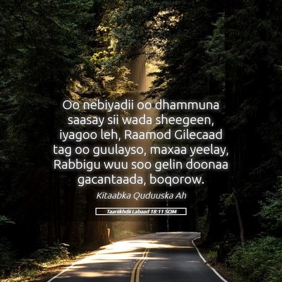 Picture 05 - Taariikhdii Labaad 18:11 SOM - Oo nebiyadii oo dhammuna saasay sii wada - Bible Verse Picture