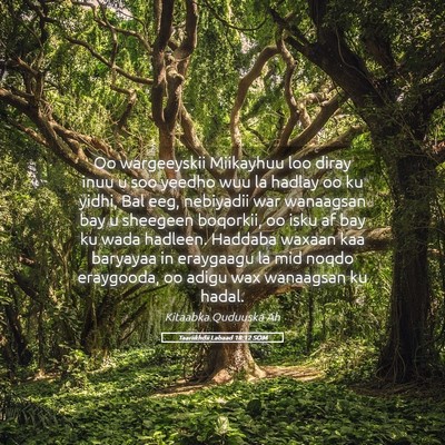 Picture 05 - Taariikhdii Labaad 18:12 SOM - Oo wargeeyskii Miikayhuu loo diray inuu u soo - Bible Verse Picture