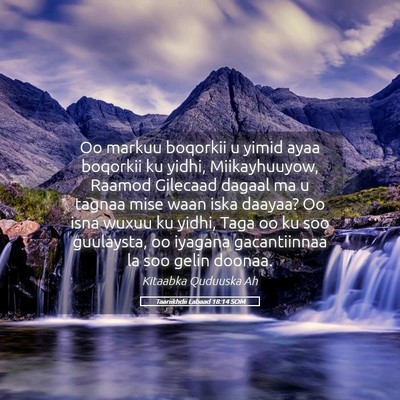 Picture 05 - Taariikhdii Labaad 18:14 SOM - Oo markuu boqorkii u yimid ayaa boqorkii ku - Bible Verse Picture