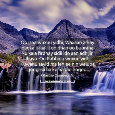 Picture 05 - Taariikhdii Labaad 18:16 SOM - Oo isna wuxuu yidhi, Waxaan arkay dadka Israa'iil - Bible Verse Picture