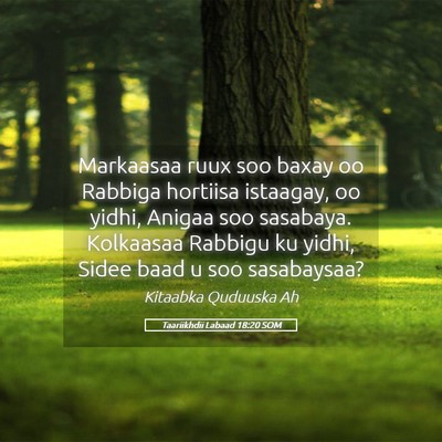 Picture 05 - Taariikhdii Labaad 18:20 SOM - Markaasaa ruux soo baxay oo Rabbiga hortiisa - Bible Verse Picture