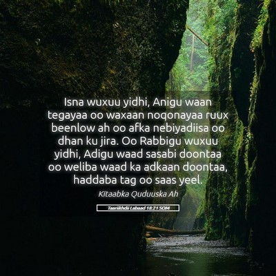 Picture 05 - Taariikhdii Labaad 18:21 SOM - Isna wuxuu yidhi, Anigu waan tegayaa oo waxaan - Bible Verse Picture