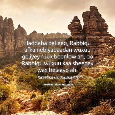 Picture 05 - Taariikhdii Labaad 18:22 SOM - Haddaba bal eeg, Rabbigu afka nebiyadaadan wuxuu - Bible Verse Picture