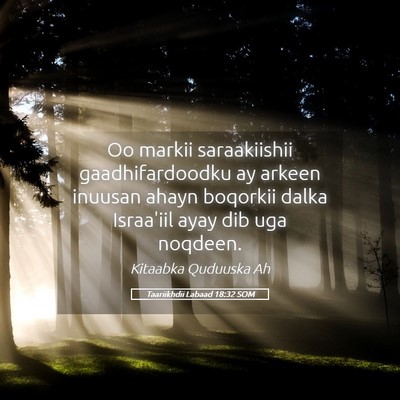 Picture 05 - Taariikhdii Labaad 18:32 SOM - Oo markii saraakiishii gaadhifardoodku ay arkeen - Bible Verse Picture