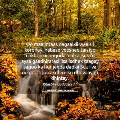Picture 05 - Taariikhdii Labaad 18:34 SOM - Oo maalintaas dagaalkii waa sii kordhay, habase - Bible Verse Picture
