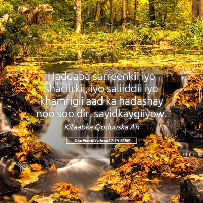 Picture 05 - Taariikhdii Labaad 2:15 SOM - Haddaba sarreenkii iyo shaciirkii, iyo saliiddii - Bible Verse Picture