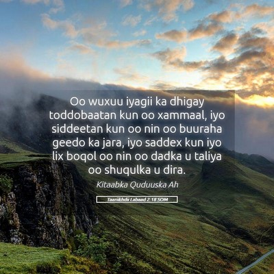 Picture 05 - Taariikhdii Labaad 2:18 SOM - Oo wuxuu iyagii ka dhigay toddobaatan kun oo - Bible Verse Picture