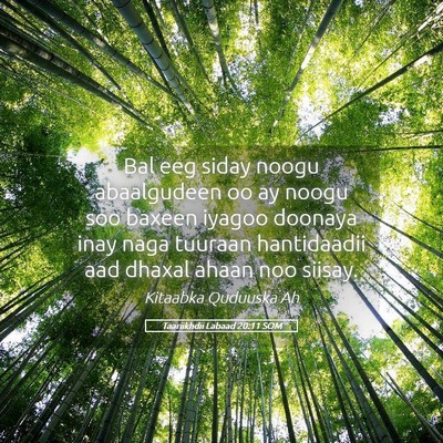 Picture 05 - Taariikhdii Labaad 20:11 SOM - Bal eeg siday noogu abaalgudeen oo ay noogu soo - Bible Verse Picture