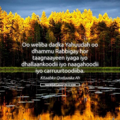 Picture 05 - Taariikhdii Labaad 20:13 SOM - Oo weliba dadka Yahuudah oo dhammu Rabbigay hor - Bible Verse Picture