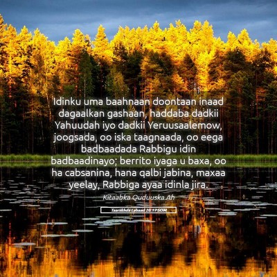 Picture 05 - Taariikhdii Labaad 20:17 SOM - Idinku uma baahnaan doontaan inaad dagaalkan - Bible Verse Picture