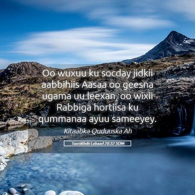 Picture 05 - Taariikhdii Labaad 20:32 SOM - Oo wuxuu ku socday jidkii aabbihiis Aasaa oo - Bible Verse Picture