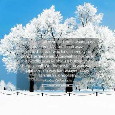 Picture 05 - Taariikhdii Labaad 20:37 SOM - Markaasaa Eliiceser ina Dodaawaahuu oo ahaa reer - Bible Verse Picture