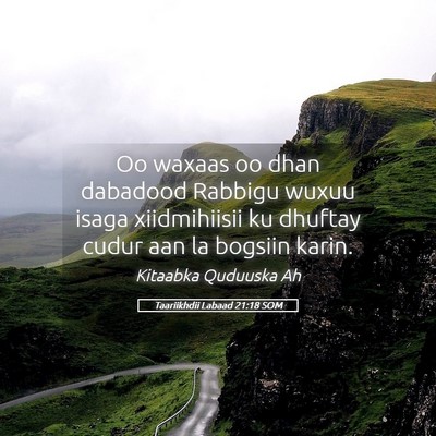 Picture 05 - Taariikhdii Labaad 21:18 SOM - Oo waxaas oo dhan dabadood Rabbigu wuxuu isaga - Bible Verse Picture