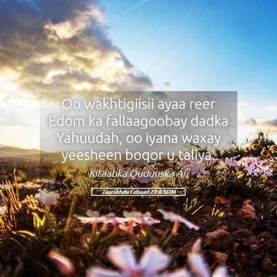 Picture 05 - Taariikhdii Labaad 21:8 SOM - Oo wakhtigiisii ayaa reer Edom ka fallaagoobay - Bible Verse Picture