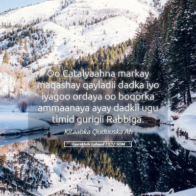 Picture 05 - Taariikhdii Labaad 23:12 SOM - Oo Catalyaahna markay maqashay qayladii dadka iyo - Bible Verse Picture