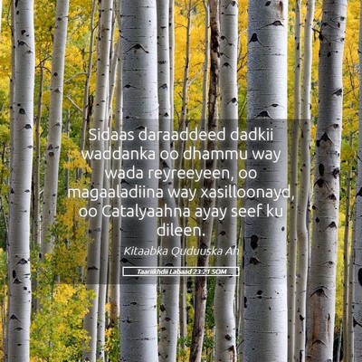Picture 05 - Taariikhdii Labaad 23:21 SOM - Sidaas daraaddeed dadkii waddanka oo dhammu way - Bible Verse Picture