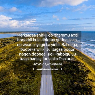 Picture 05 - Taariikhdii Labaad 23:3 SOM - Markaasaa shirkii oo dhammu axdi boqorkii kula - Bible Verse Picture