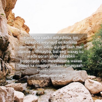 Picture 05 - Taariikhdii Labaad 24:27 SOM - Haddaba xaalkii wiilashiisa, iyo culaabtii - Bible Verse Picture