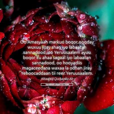 Picture 05 - Taariikhdii Labaad 25:1 SOM - Oo Amasyaah markuu boqor noqday wuxuu jiray shan - Bible Verse Picture