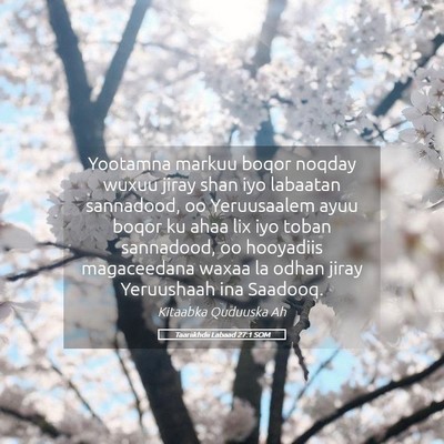 Picture 05 - Taariikhdii Labaad 27:1 SOM - Yootamna markuu boqor noqday wuxuu jiray shan iyo - Bible Verse Picture