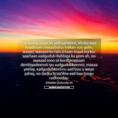 Picture 05 - Taariikhdii Labaad 28:13 SOM - Oo waxay iyagii ku yidhaahdeen, Idinku waa - Bible Verse Picture