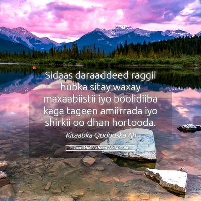 Picture 05 - Taariikhdii Labaad 28:14 SOM - Sidaas daraaddeed raggii hubka sitay waxay - Bible Verse Picture