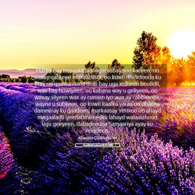 Picture 05 - Taariikhdii Labaad 28:15 SOM - Markaasay nimankii la magacaabay soo kaceen, oo - Bible Verse Picture