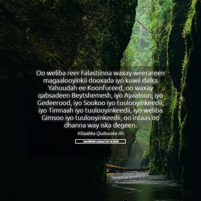 Picture 05 - Taariikhdii Labaad 28:18 SOM - Oo weliba reer Falastiinna waxay weerareen - Bible Verse Picture