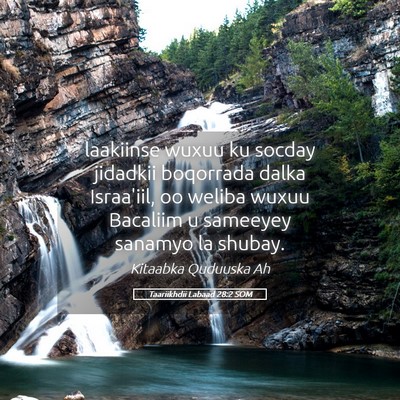 Picture 05 - Taariikhdii Labaad 28:2 SOM - laakiinse wuxuu ku socday jidadkii boqorrada - Bible Verse Picture
