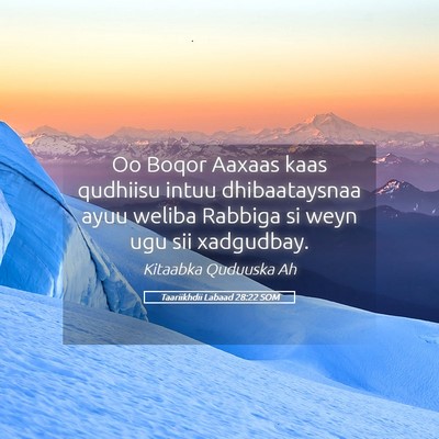 Picture 05 - Taariikhdii Labaad 28:22 SOM - Oo Boqor Aaxaas kaas qudhiisu intuu dhibaataysnaa - Bible Verse Picture