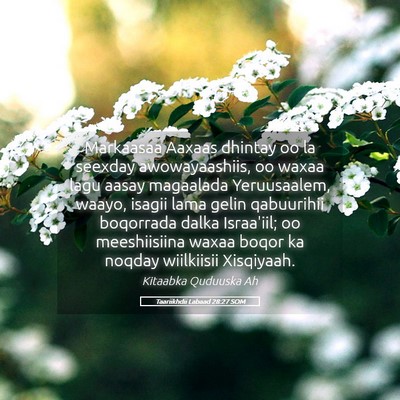 Picture 05 - Taariikhdii Labaad 28:27 SOM - Markaasaa Aaxaas dhintay oo la seexday - Bible Verse Picture