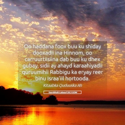 Picture 05 - Taariikhdii Labaad 28:3 SOM - Oo haddana foox buu ku shiday dooxadii ina - Bible Verse Picture